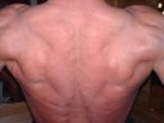 Large_thumb